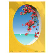 Bouganvillea